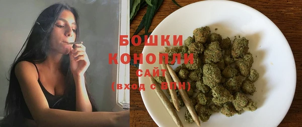 PSILOCYBIN Беломорск
