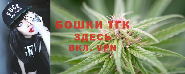 соль курить ск Белокуриха